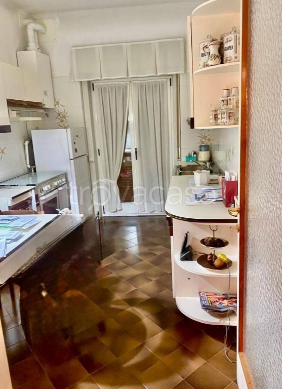 immagine annuncio 7 di 14