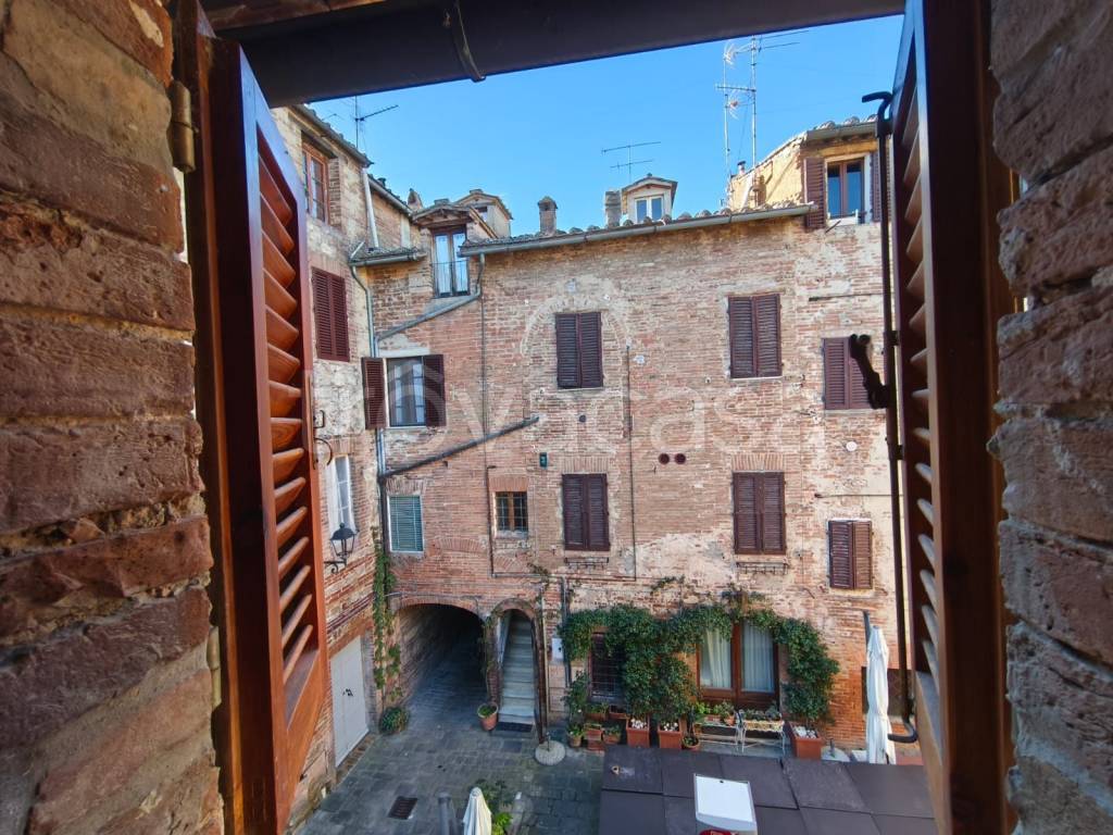 immagine annuncio 10 di 14