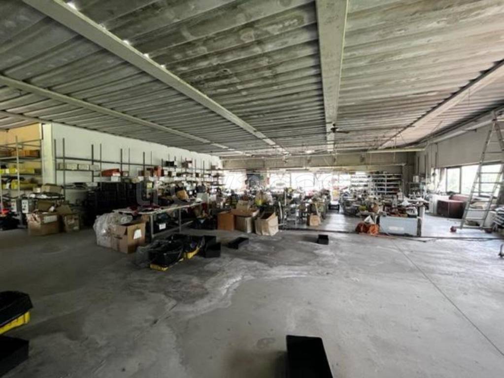 immagine annuncio 11 di 15