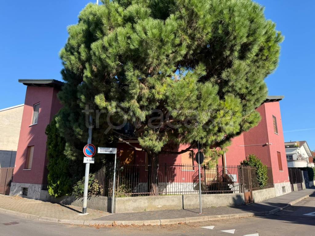 immagine annuncio 2 di 5