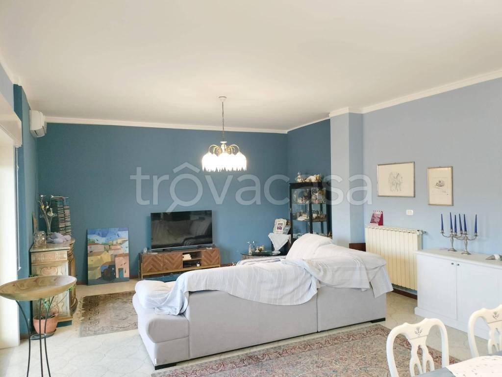 immagine annuncio 6 di 12