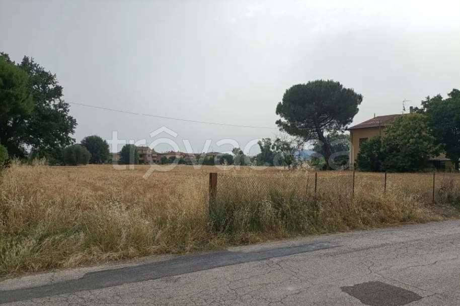 immagine annuncio 2 di 8