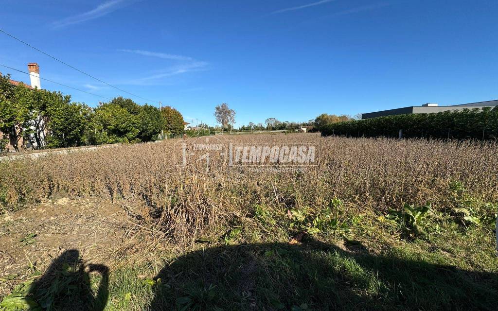 immagine annuncio 4 di 13