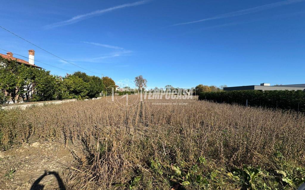 immagine annuncio 11 di 13