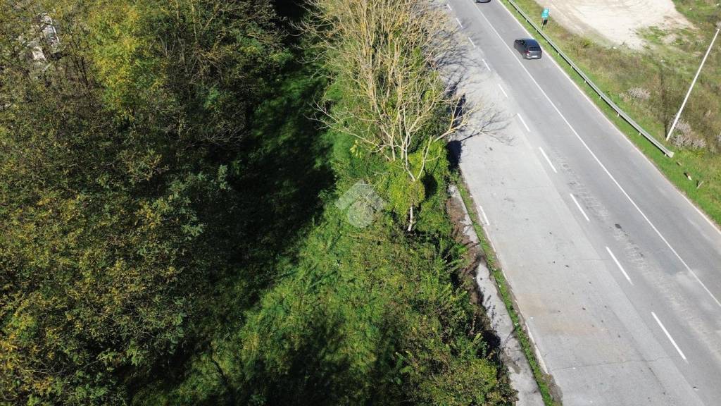 immagine annuncio 4 di 6