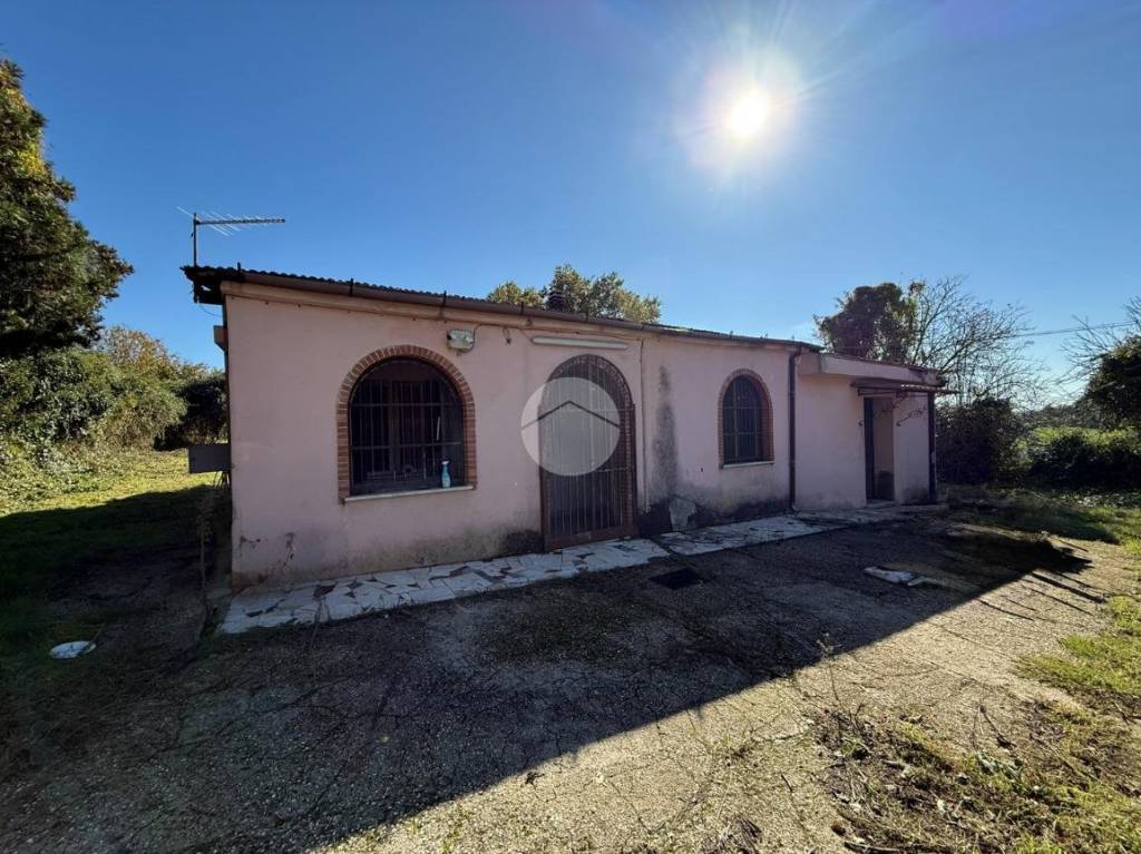 immagine annuncio 1 di 9