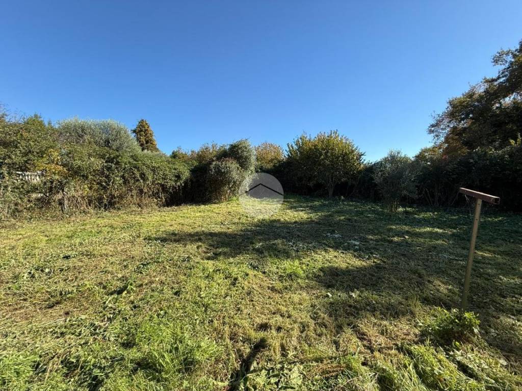 immagine annuncio 2 di 9