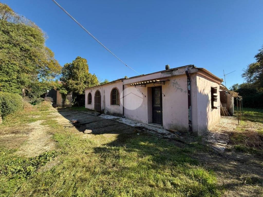 immagine annuncio 7 di 9