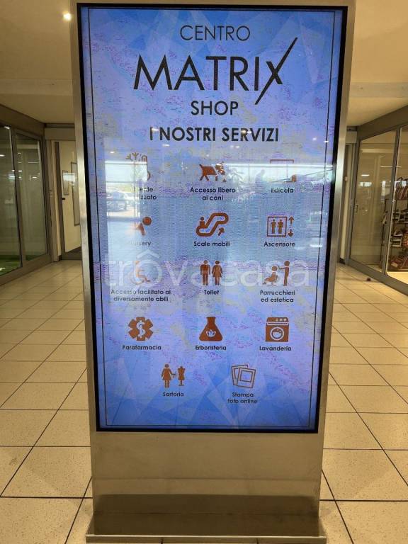 immagine annuncio 5 di 12