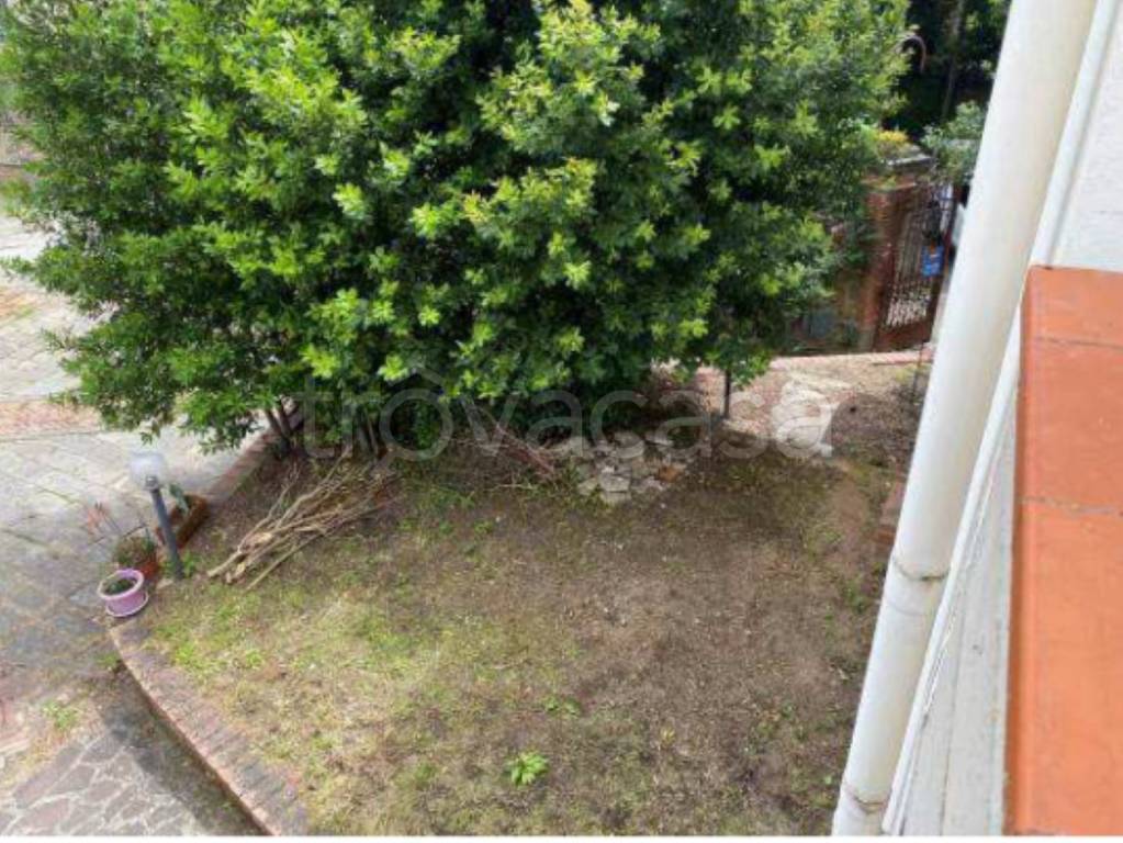 immagine annuncio 5 di 11