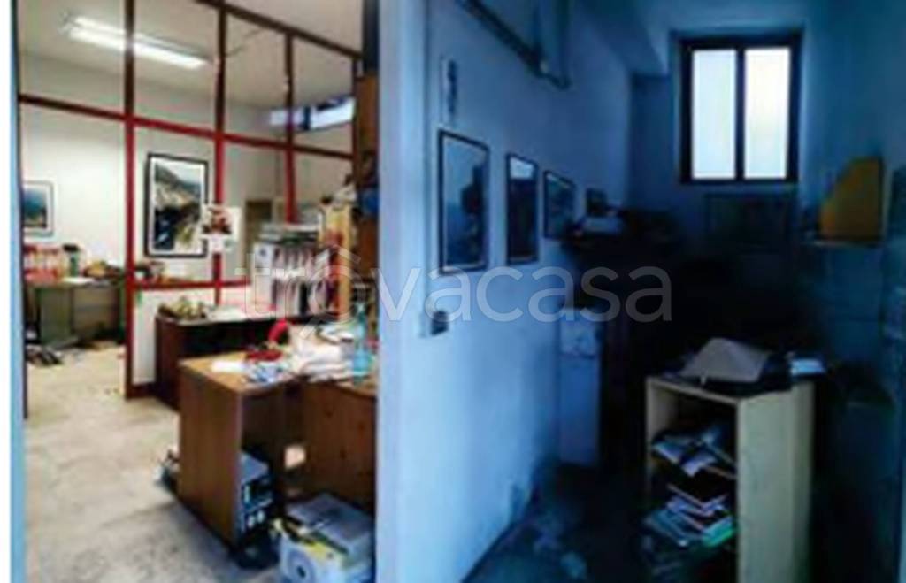 immagine annuncio 4 di 14