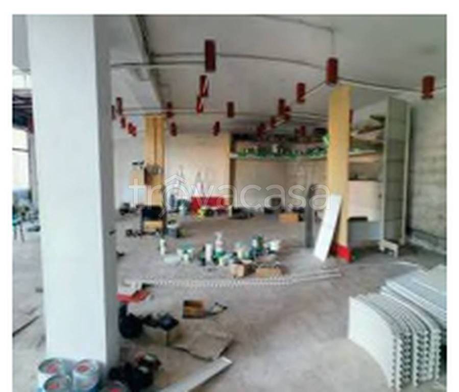 immagine annuncio 5 di 14