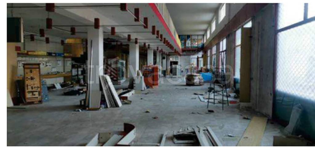 immagine annuncio 6 di 14