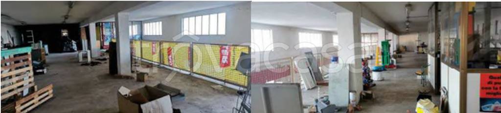 immagine annuncio 7 di 14