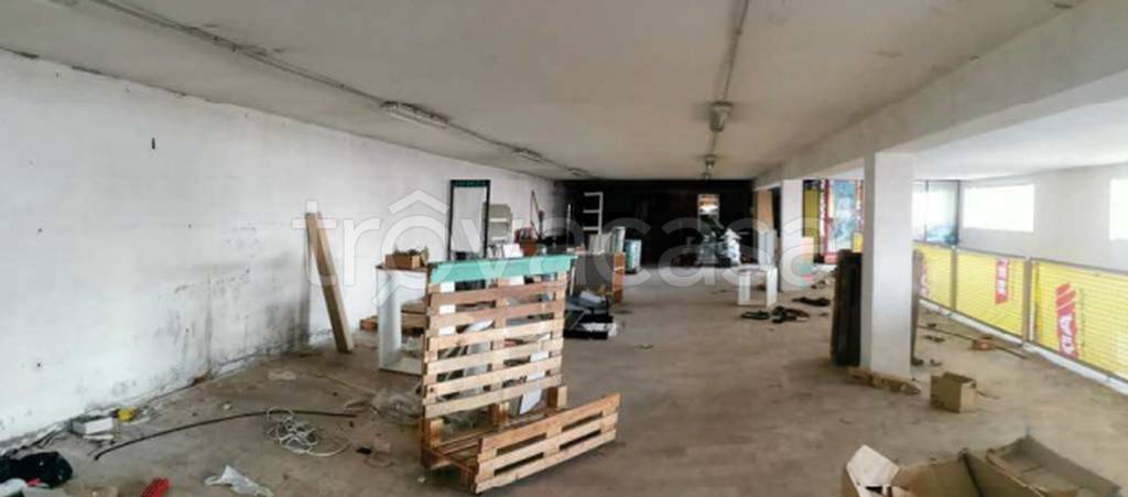 immagine annuncio 9 di 14