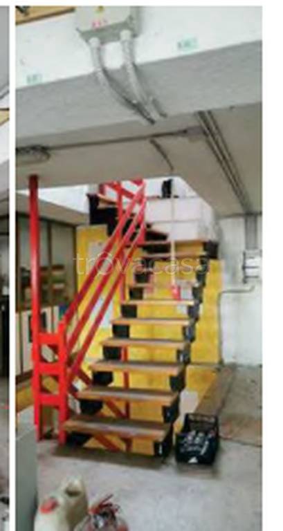 immagine annuncio 10 di 14