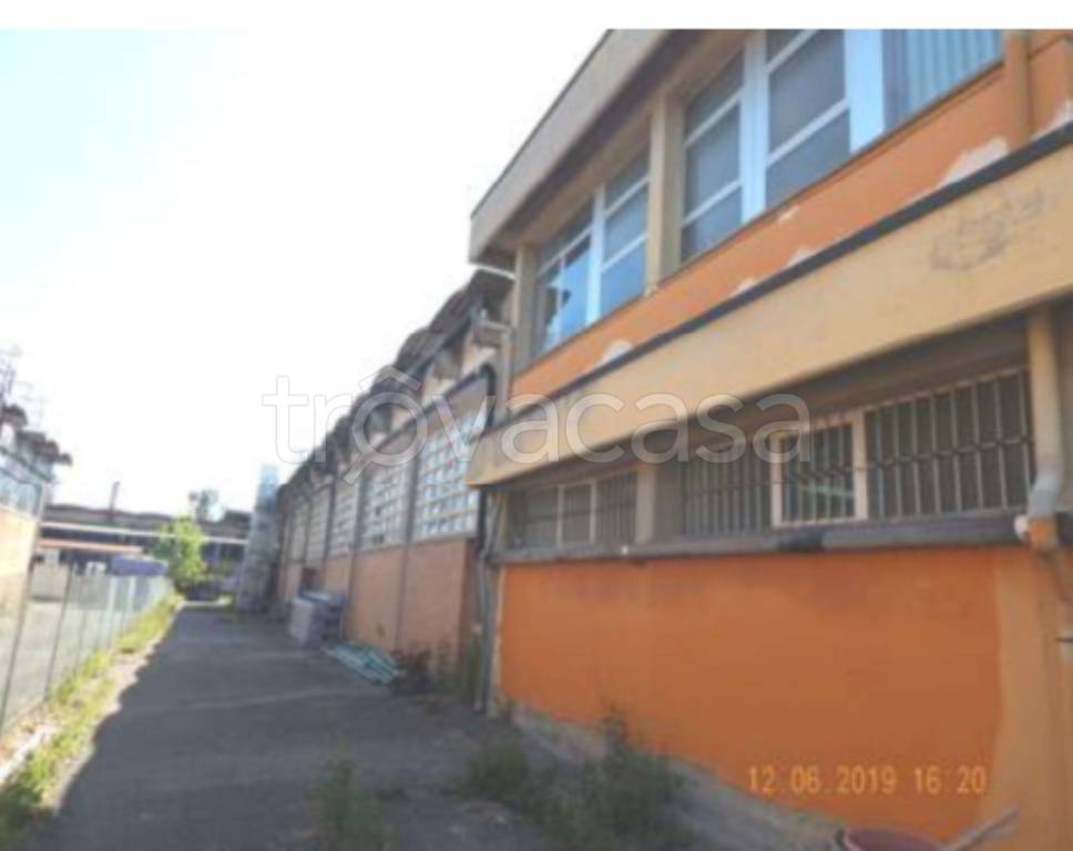 immagine annuncio 5 di 10