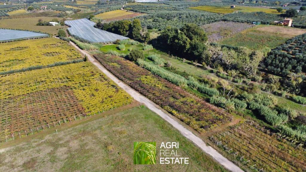 immagine annuncio 4 di 13