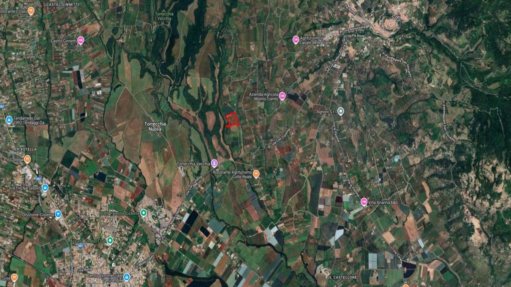 immagine annuncio 12 di 13