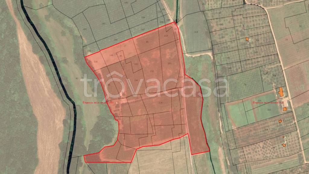 immagine annuncio 9 di 13