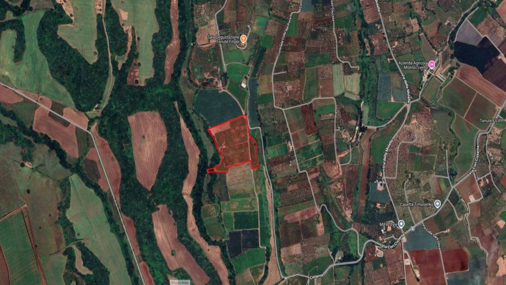 immagine annuncio 11 di 13