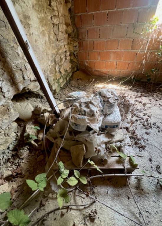 immagine annuncio 3 di 11