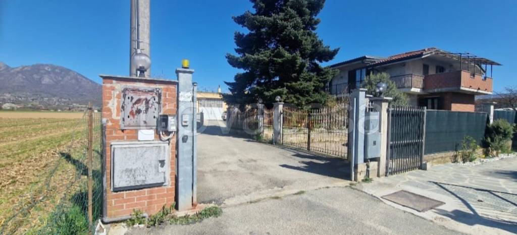 immagine annuncio 12 di 13