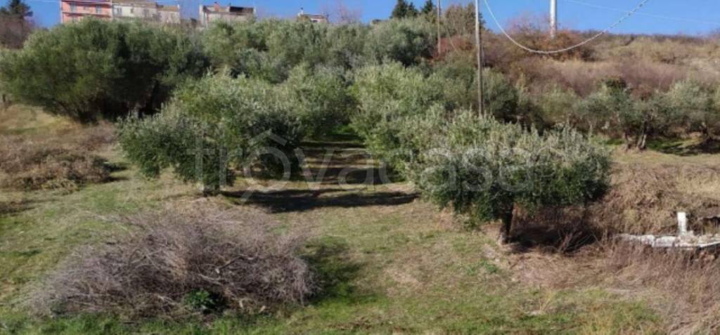 immagine annuncio 8 di 10