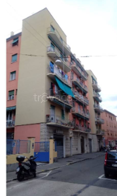 immagine annuncio 4 di 13