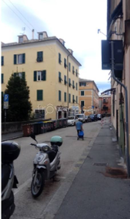 immagine annuncio 5 di 13