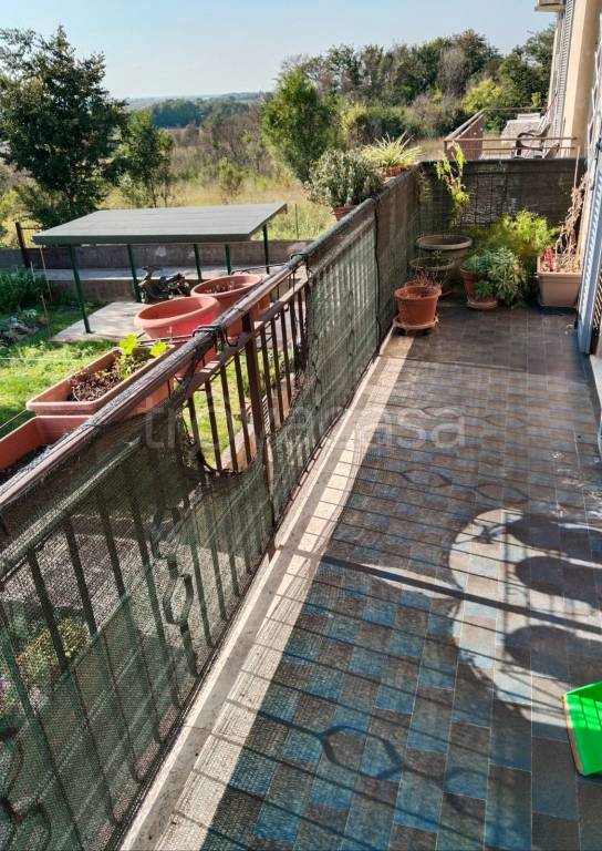 immagine annuncio 4 di 7