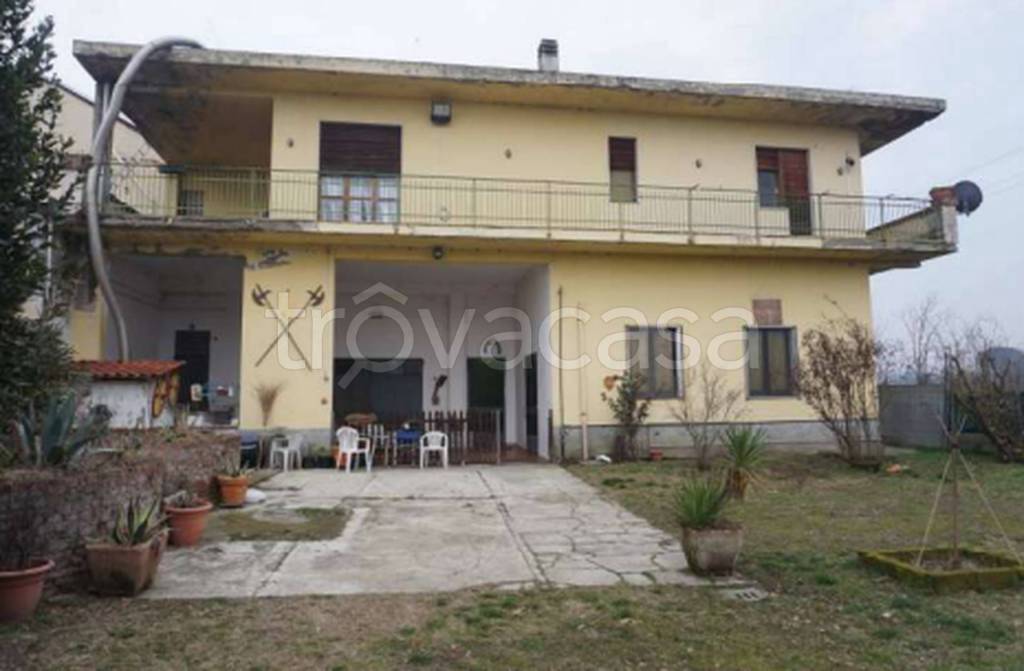 immagine annuncio 11 di 12