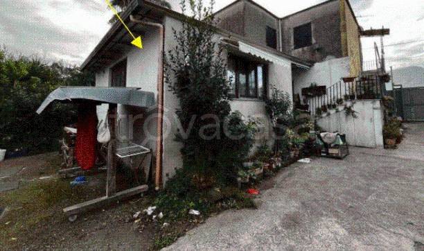 immagine annuncio 9 di 13