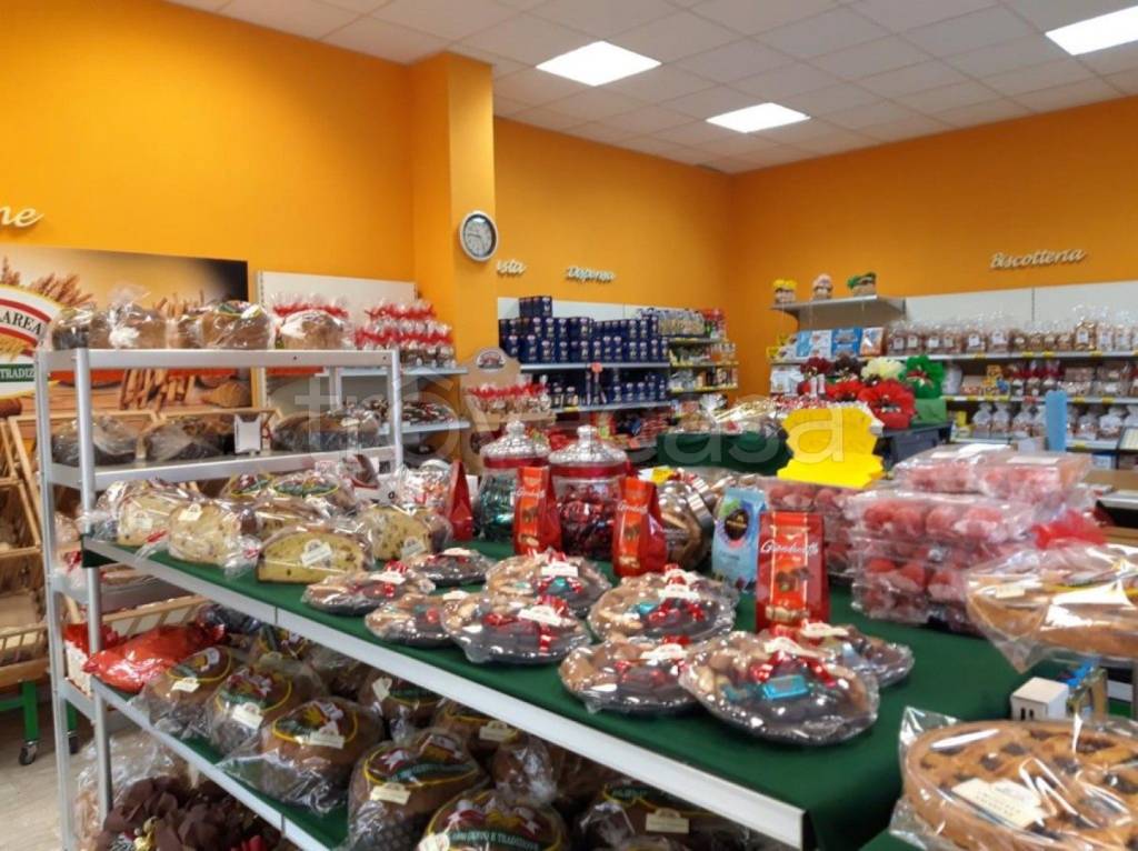 immagine annuncio 2 di 11