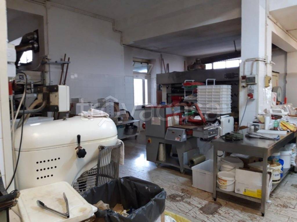 immagine annuncio 8 di 11