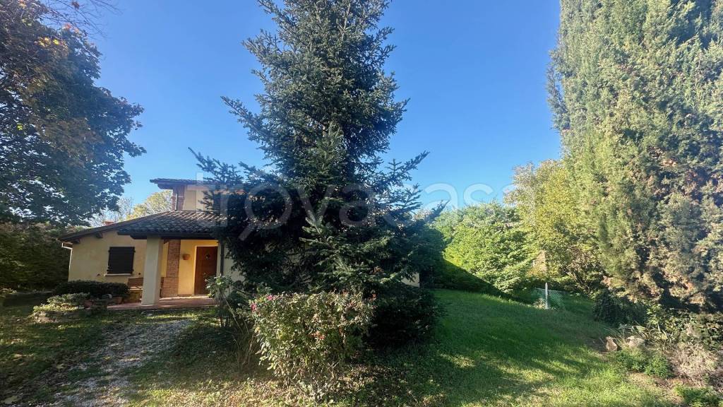 immagine annuncio 4 di 13