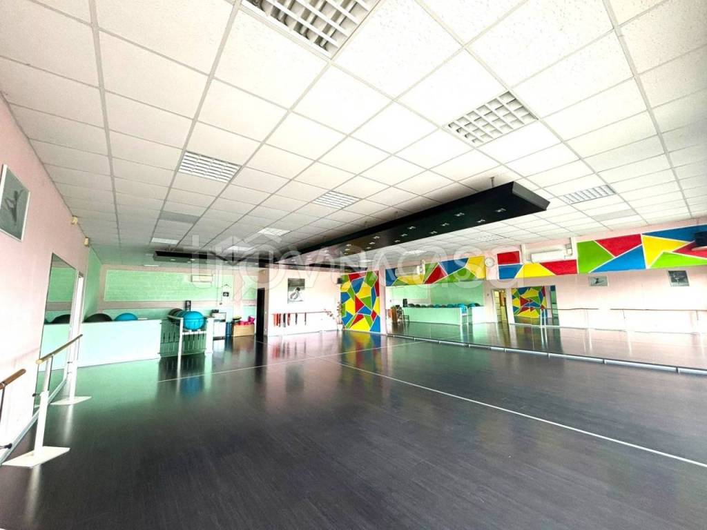 immagine annuncio 3 di 12