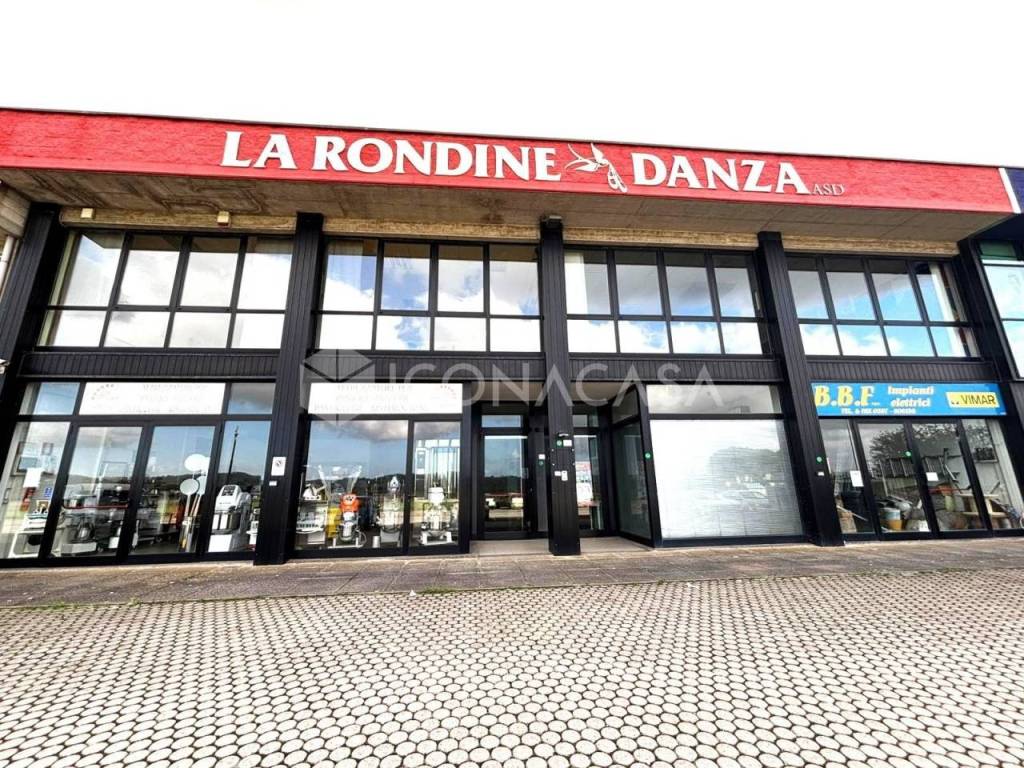 immagine annuncio 11 di 12