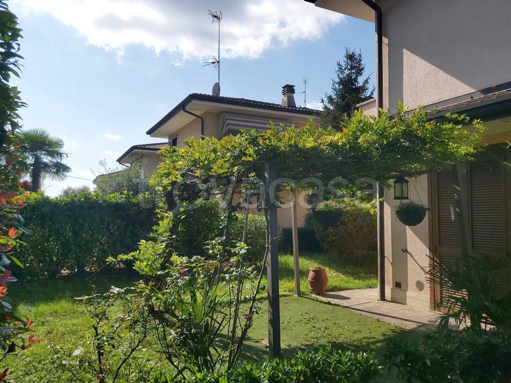 immagine annuncio 3 di 15