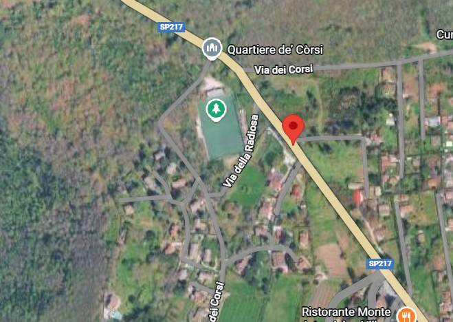 immagine annuncio 8 di 15