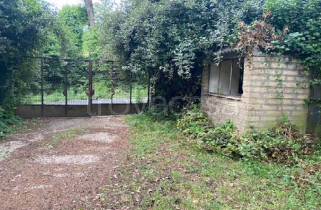 immagine annuncio 2 di 11