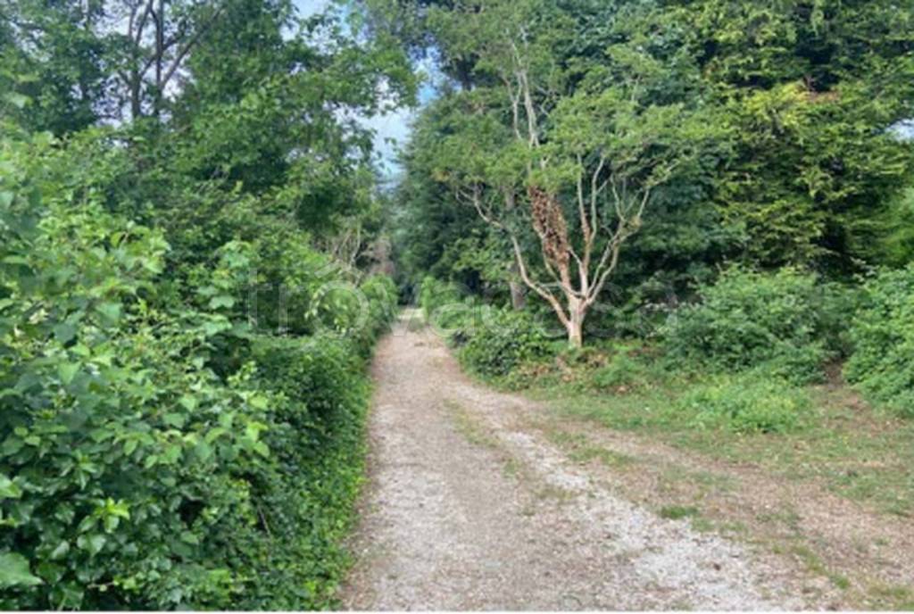 immagine annuncio 5 di 11