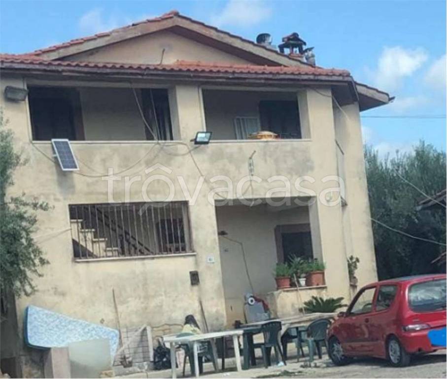 immagine annuncio 2 di 6