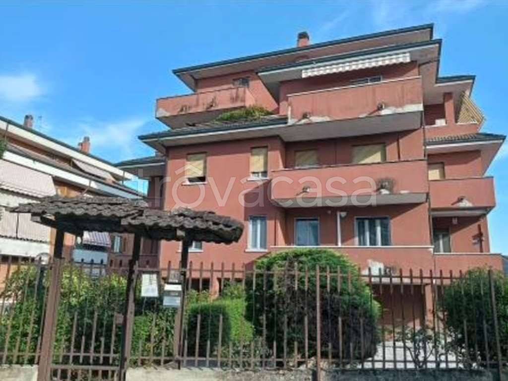 immagine annuncio 9 di 12