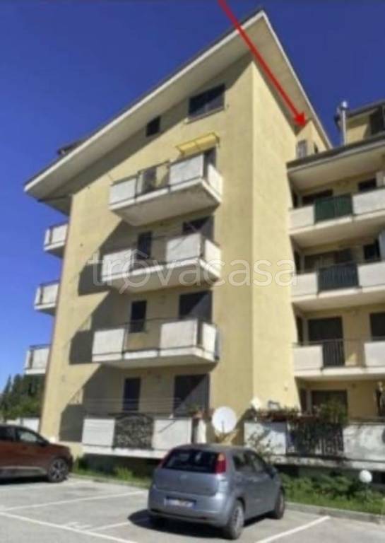 immagine annuncio 10 di 11