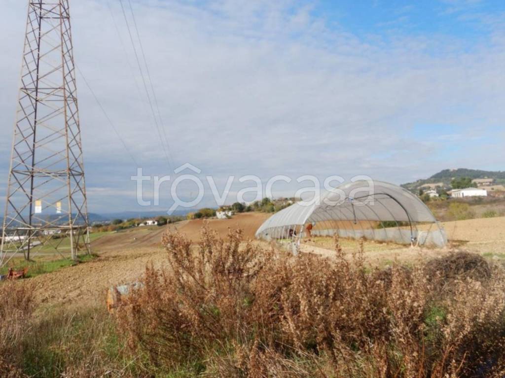 immagine annuncio 6 di 11