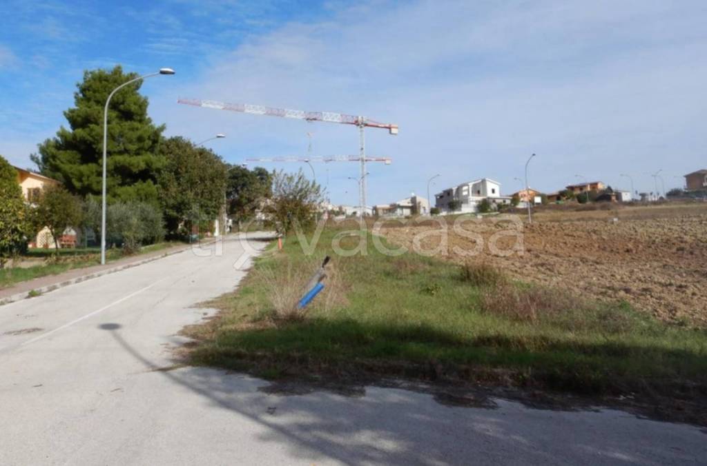 immagine annuncio 9 di 11