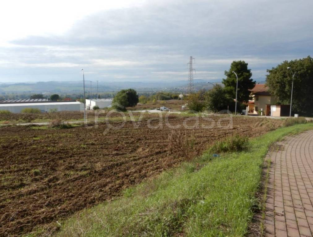 immagine annuncio 10 di 11