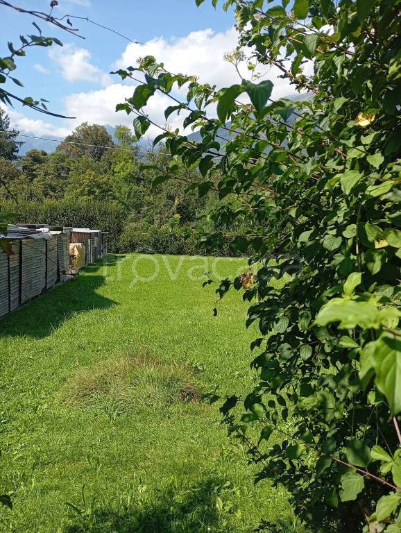 immagine annuncio 2 di 9