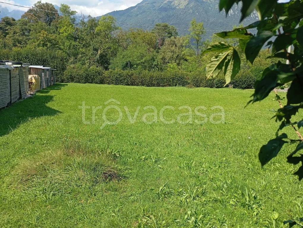 immagine annuncio 3 di 9